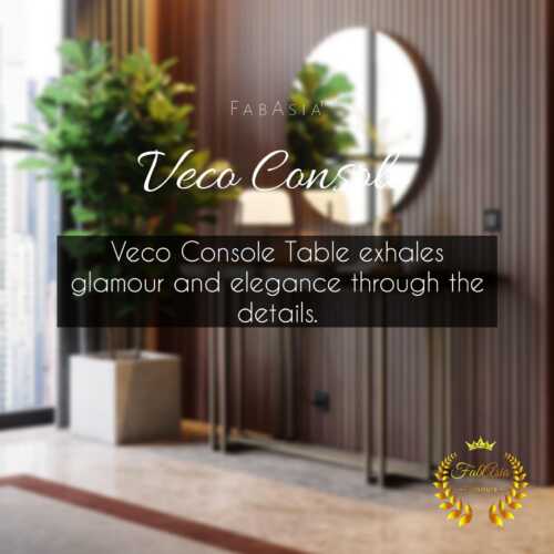 FabAsia Veco Console 4