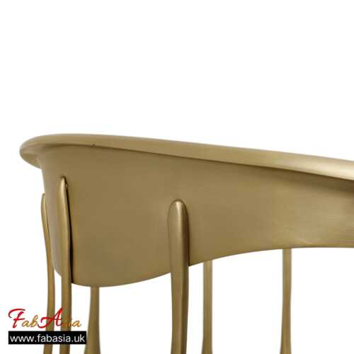 FabAsia Luxury Metal Chair 22